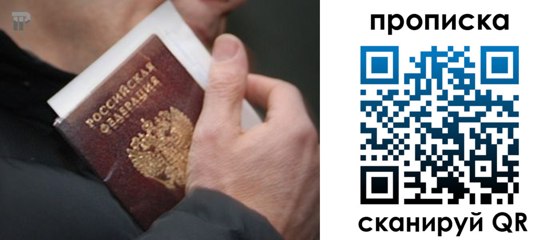 временная регистрация гарантия в Апатитах